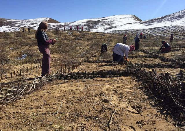 ‘火狐电竞官网’欧佩克(石油输出国组织)周油价继续爬升(图4) 火狐电竞官方网站