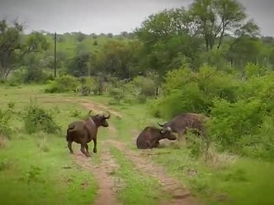 丙烯7月份进口量减少8月有增加预期‘火狐电竞’(图2) 火狐电竞官方网站