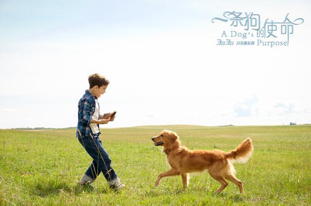 4000亿全国性“碳市场”明年建成|火狐电竞官网(图2) 火狐电竞官方网站